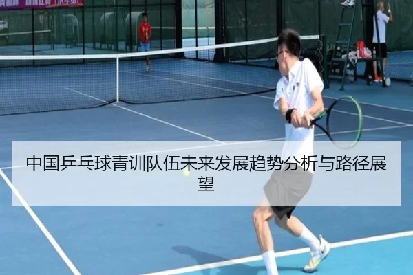 中国乒乓球青训队伍未来发展趋势分析与路径展望